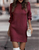 Turtleneck Knitted Sweater Dress