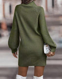 Turtleneck Knitted Sweater Dress